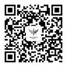 pp电子 Vision Plus Capital